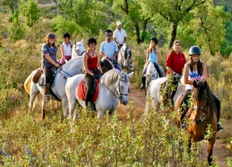 Верховая езда в Кемере, Kiris, Camyuva, Tekirova, Goynuk, Beldibi