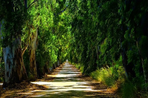 Marmaris Akyaka Turu