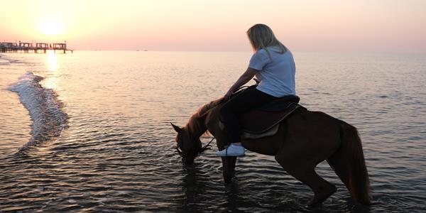 Antalya Horse Safari
